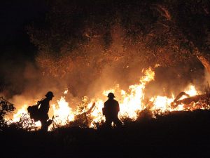 Firefighters fight off a row of flames at night.
