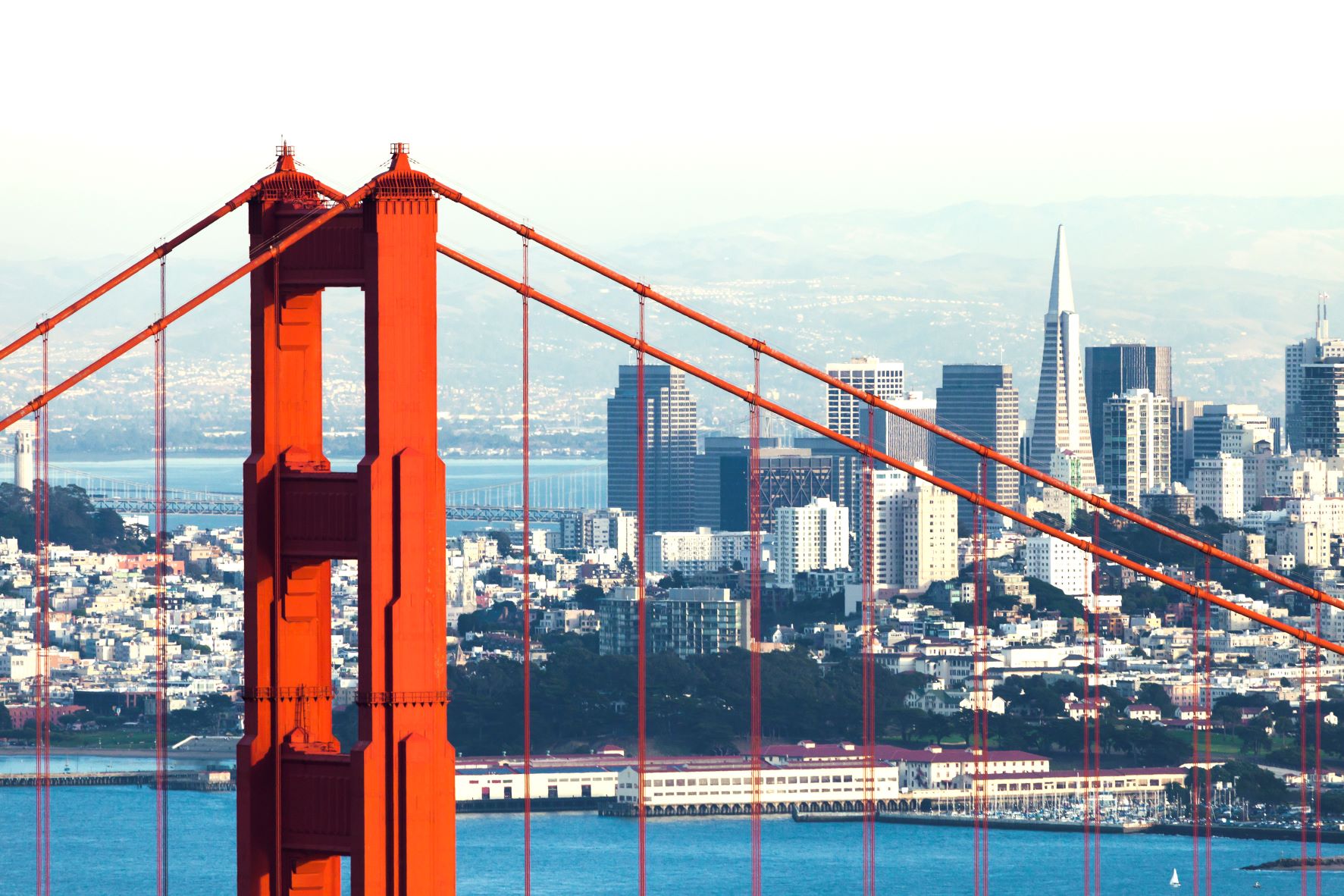 San Francisco skyline with the Golden Gate bridge in the background.