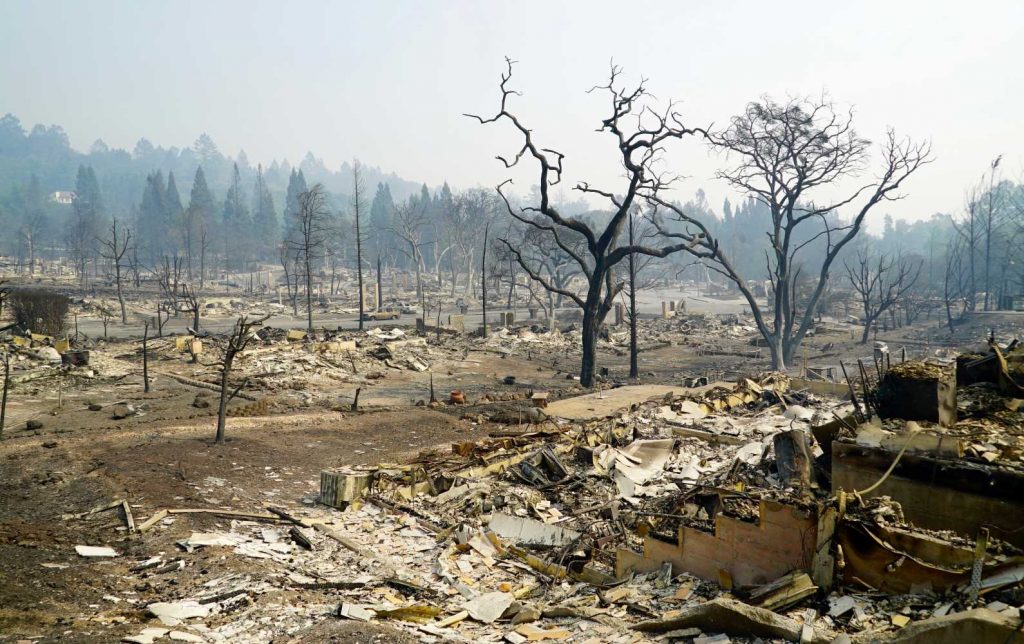 A burnt out neighborhood. Not buildings stand.