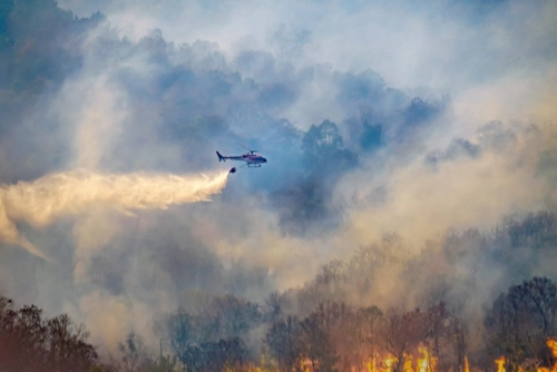 Wildfire Litigation Lawyer California